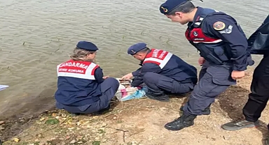 Kaçak avlanan sazan balıkları doğal yaşama bırakıldı