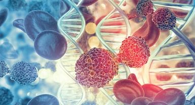 Kanserle Savaşta Doğanın Gücünden Yararlanın: İşte Kanser Riskini Azaltan 6 Besin