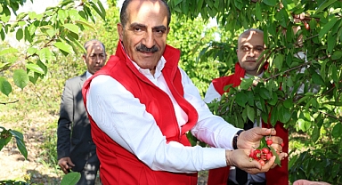 Kiraz ihracatında hedef 250 milyon dolar