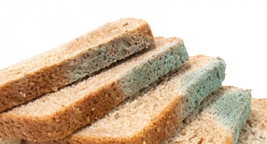 Küflü Ekmeklerin Sağlık Üzerindeki Riskleri: Bilinçli Tüketim İçin Önemli Uyarılar