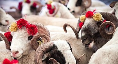 2024 Kurban Bayramı Ne Zaman Başlayacak? İşte Tarih ve Önemli Detaylar