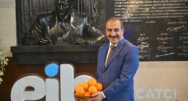 Narenciye sektörü KKTC'de görülen yeşillenme hastalığının Türkiye'ye sıçramaması için topyekûn mücadele istiyor