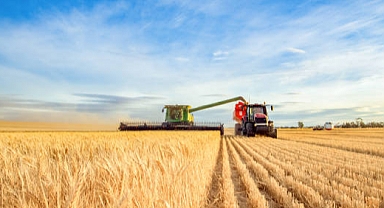 2024 Şubat'ta Tarımsal Girdi Fiyatlarında Şok Artış: TÜİK Verileri Açıklandı