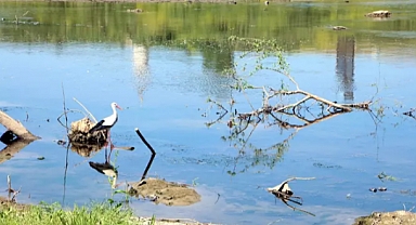 Trakya'da yer altı suyu yüzde 85 azaldı; Tunca'nın debisi 2 metreküpe düştü