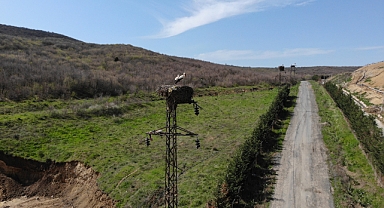 TREDAŞ'ın güvenli göç güzergâhında leyleklerin yuvası hazır