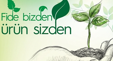 12 bin 500 Adet Atalık Fide Dağıtılacak