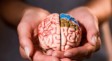 Beyin Sağlığını Korumak İçin Altın Öneriler