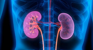 Böbrek Yetmezliği Belirti ve Nedenleri Nedir?