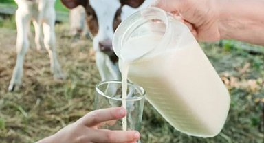 Çiğ süt üretimi %0.4 azaldı