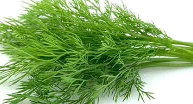 Dereotunun Faydaları Nelerdir?