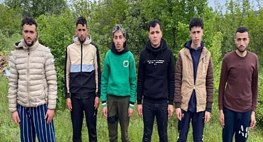 Edirne'de 6 kaçak göçmen yakalandı
