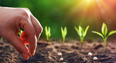 Lüleburgaz Belediyesi Atalık Tohumlarını Geleceğe Aktarıyor