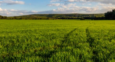 Lüleburgaz Belediyesi Yeşil Alan Dönüşüm Projeleriyle Şehir İçi Yaşam Kalitesini Artırıyor