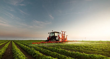 Mart 2024 Tarım ÜFE Verileri Açıklandı