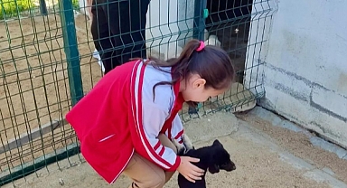 Miniklerden Sahipsiz Hayvanlara Ziyaret