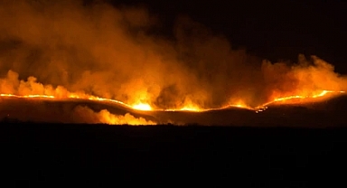 Tarla Yangınlarını Önlemek İçin Alınması Gereken Önlemler