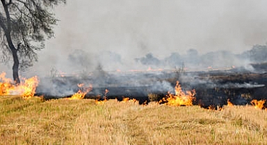 Tarla Yangınlarının Önlenmesi İçin Alınması Gereken Önlemler