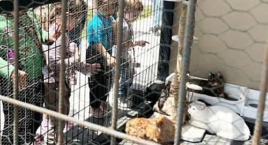 Tekirdağ Büyükşehir Belediyesi Miniklere Hayvan Sevgisini Aşılıyor