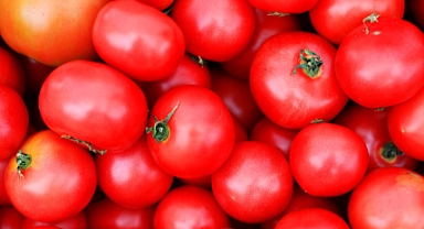 Tekirdağ Büyükşehir Belediyesi Sebzeciliği Geliştirme Projesi Etkinliği Düzenlenecek