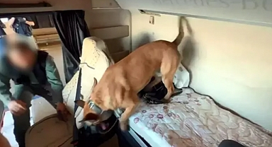 TIR'da 'Carlos' ile aramada 50 bin uyuşturucu hap bulundu