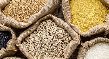 TÜİK 2024 Bitkisel Üretim 1. Tahmini Verilerini Açıkladı