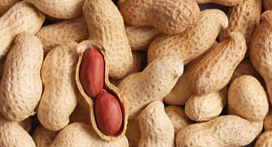 Yer Fıstığının Haşlanması Sağlık İçin Yararlı