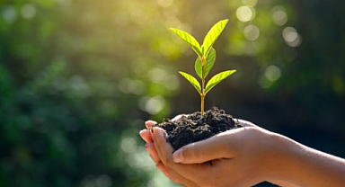 5 Haziran Dünya Çevre Günü