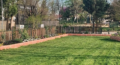 Belediye Zararlılara Karşı Mücadele Başlattı!