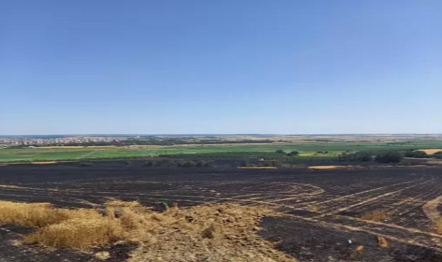 Hasat sırasında biçerdöver alev aldı, 90 dekar ekili buğday yandı
