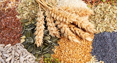 Hububat Alım Fiyatları