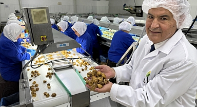 Kuru meyve sektöründe ihracat şampiyonlarının ilk 11’inin 10’u Egeli