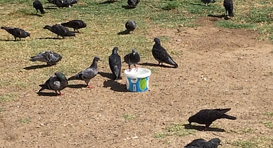 2 TEMMUZ KIRKLARELİ HAVA TAHMİNİ