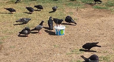 9 TEMMUZ SALI KIRKLARELİ HAVA DURUMU