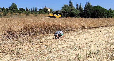 KANOLA HASADI KONTROLLERİ YAPILDI