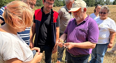 BUĞDAY ÇEŞİTLERİ TANITILDI