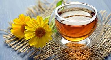 DOĞANIN SESSİZ KAHRAMANLARI