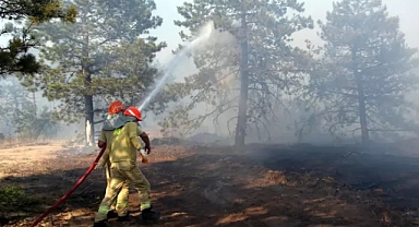 EDİRNE'DE ORMAN YANGININDA, SOĞUTMA ÇALIŞMALARI SÜRÜYOR