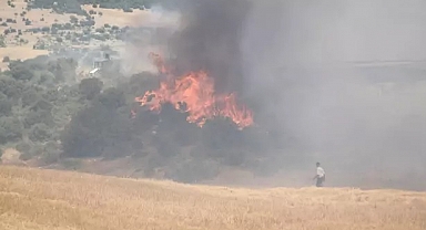 EDİRNE'DE YERLEŞİM YERLERİNE YAKIN TARLADA YANGIN; 50 DÖNÜM ALAN ZARAR GÖRDÜ