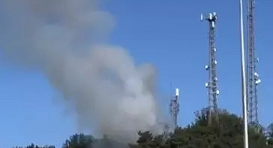 Edirne’nin İpsala ilçesinde çıkan orman yangını söndürüldü