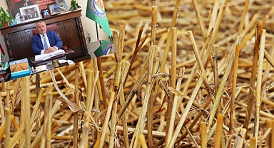 TOPRAK VERİMİNİ OLUMSUZ ETKİLİYOR