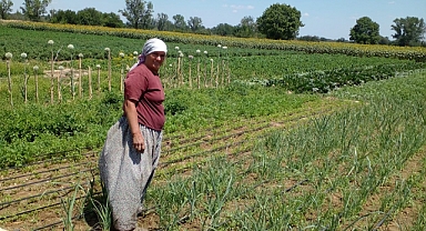 GÜNEŞ ALTINDA GECE GÜNDÜZ TARLALARDA