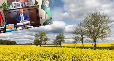 Kanola Üretimi Gelecekte de Artış Gösterecek