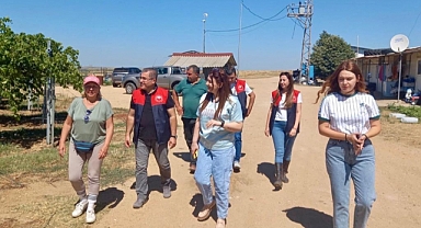 KAYMAKAM BALLI ÇİFTÇİLERİN YANINDA: BUĞDAY HASADINDA