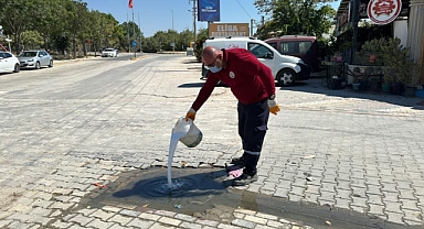 Keşan Belediyesi Sivrisinek Mücadelesi Hız Kesmeden Devam Ediyor