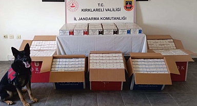 KIRKLARELİ İL JANDARMA KOMUTANLIĞI TÜTÜN KAÇAKÇILIĞI OPERASYONUNDA BAŞARILI