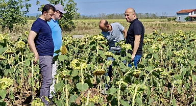 Kırklareli İl Tarımında Kuraklık Değerlendirmesi