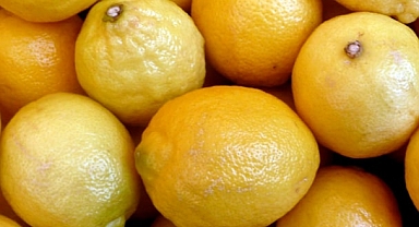Limon Suyunu Kolayca Sıkmanın Yolu