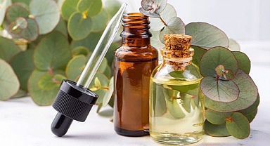 OKALİPTÜS NEDİR? OKALİPTÜS YAĞI FAYDALARI NELERDİR?