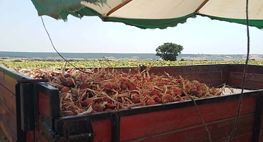 ÇİFTÇİNİN GÜNEŞLE MÜCADELESİ