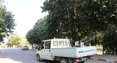 SİVRİSİNEK VE HAŞERE İLAÇLAMA ÇALIŞMALARINA HIZ VERDİ